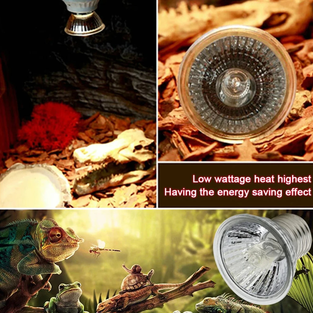 Reptile Lamp 25/50/75W UVA+UVB 3.0 Pet Heat Lamp Turtle Basking UV Light Bulbs Amphibian Sunlamp Heat Preservation Illumination