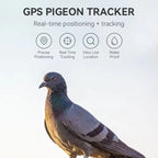 Pigeon GPS Racing Tracker Ring - Real-Time Electronic Positioning for Racing & Training Birds