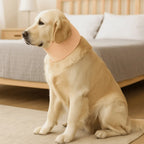 Mesh Cat Recovery Collar Adjustable Breathable Dog Neck Support Collar Soft Comfortable Pet Wound Recovery Collar Bath Cleaning