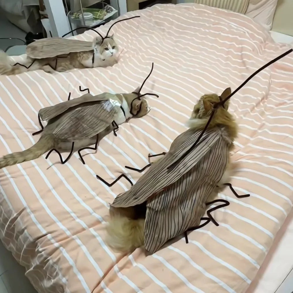 DIY Cat Cockroach Cosplay Dress-Up Kit — Interactive Indoor Play & Costume Accessory for Cats