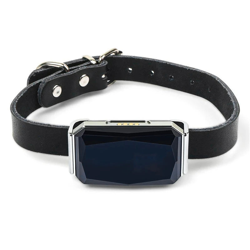 GPS Pet Tracker with Real-Time Call & Remote Control - Adjustable Anti-Loss Locator for Dogs, Cats & Sheep