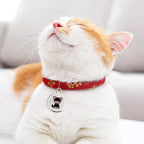 Waterproof Bluetooth GPS Real-Time Collar Tracker - Anti-Loss Locator Finder for Dogs & Cats