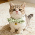 Heart Pet Collar with Flower Design for Cats — Comfortable Stylish Cat Collar