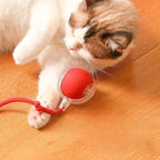Electric Rolling Ball Cat & Dog Toy — USB Rechargeable Rat-Imitating Auto-Move Trainer