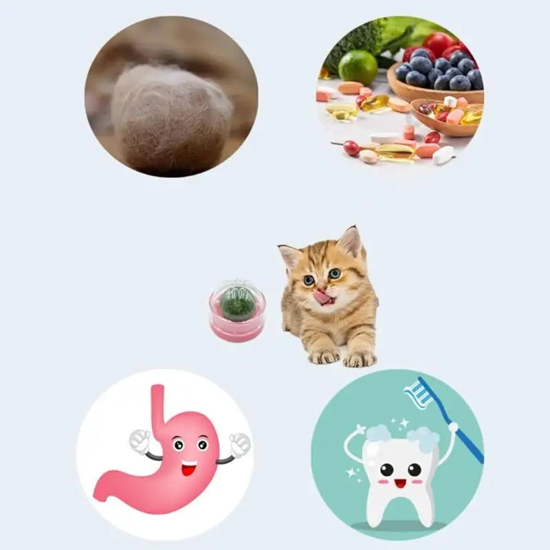 3-Pack Cat Mint Chew Balls — Interactive Teething Toy Set for Kittens & Adult Cats