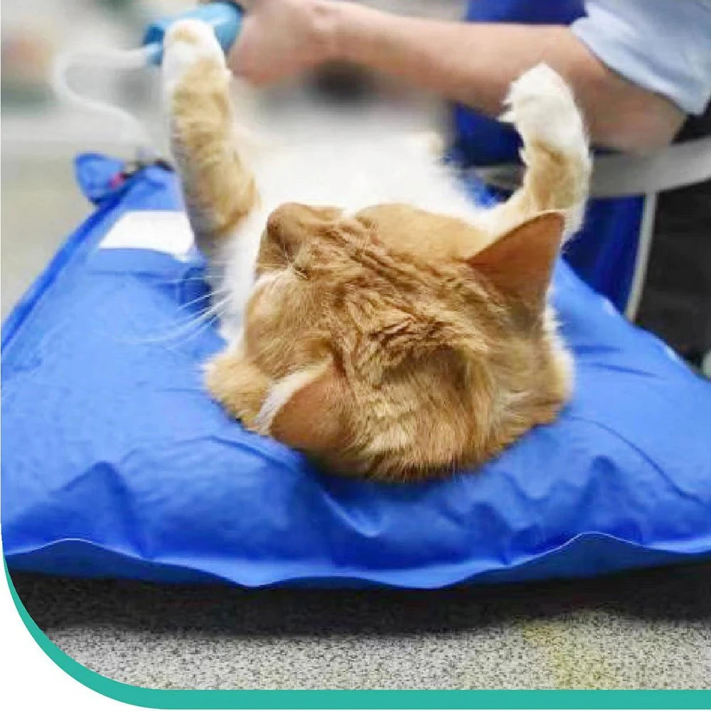 Veterinary Vacuum Positioning Mat for Pet Exams & Surgery