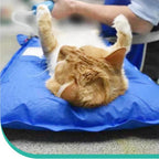 Veterinary Vacuum Positioning Mat for Pet Exams & Surgery