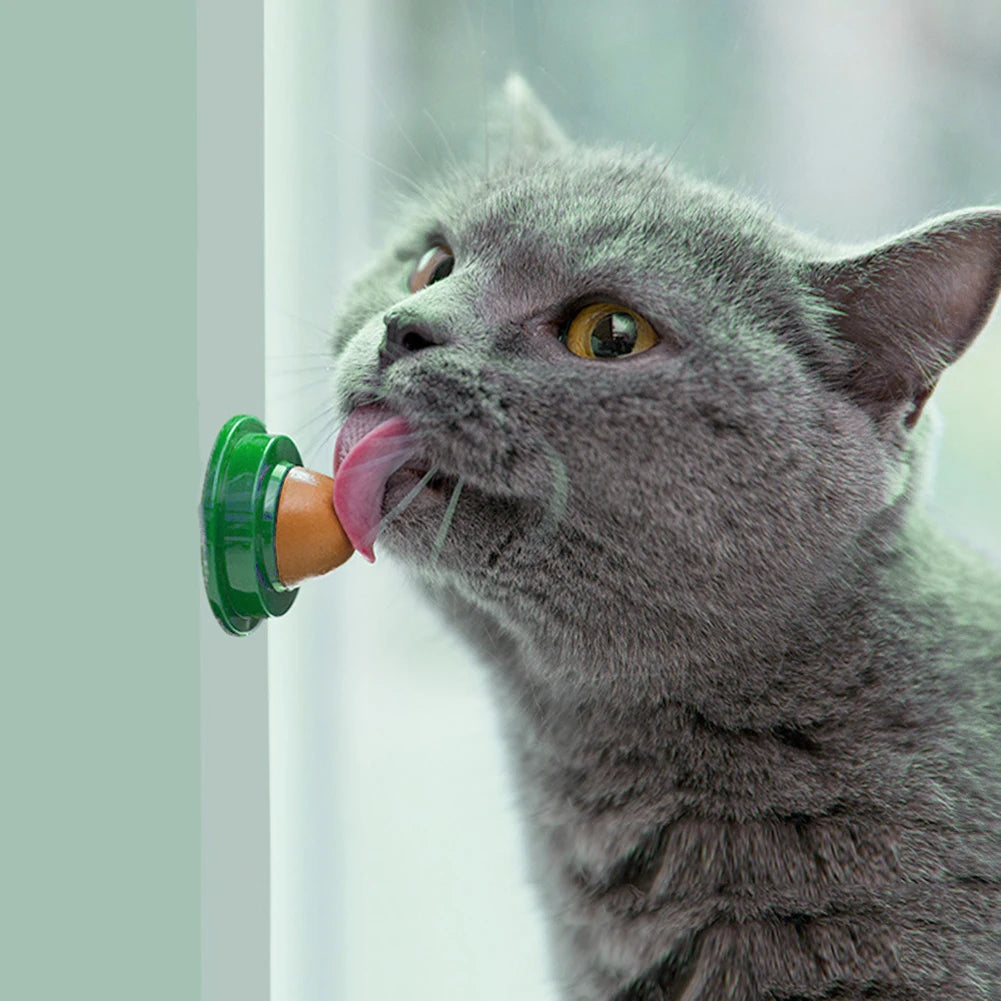 Catnip Licking Candy Nutrition Gel Treats for Kittens
