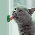 Catnip Licking Candy Nutrition Gel Treats for Kittens