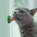 Catnip Licking Candy Nutrition Gel Treats for Kittens