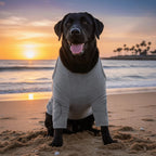 Breathable Dog Long-Sleeve Leg Recovery Sleeve (Anti-Lick, High Elasticity)