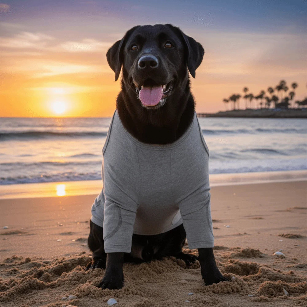 Breathable Dog Long-Sleeve Leg Recovery Sleeve (Anti-Lick, High Elasticity)