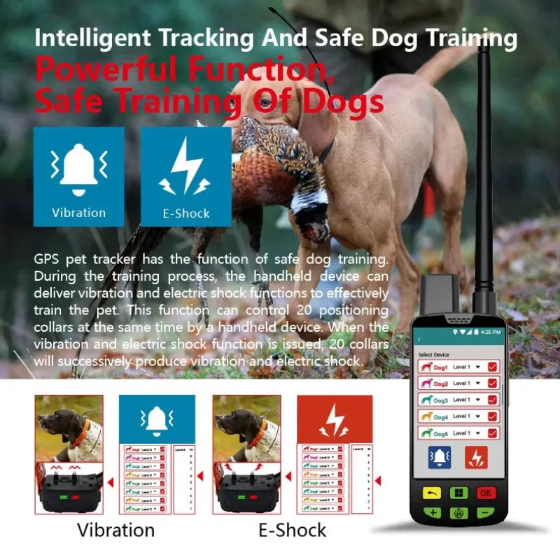 Rugged 4G IP68 Dog GPS Tracker with GNSS/Galileo/BDS - Industrial-Grade Environmental Seal