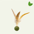 Feather Stick Bouncy Ball Cat Toy — Catnip Feather Tossing Ball for Self-Relief Interactive Play