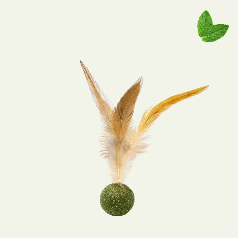 Feather Stick Bouncy Ball Cat Toy — Catnip Feather Tossing Ball for Self-Relief Interactive Play