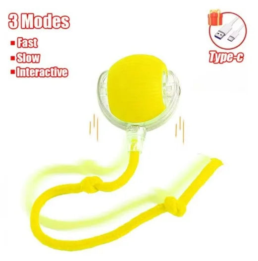 Smart Self-Rolling Ball Cat Toy — Bite-Resistant Interactive Boredom Relief