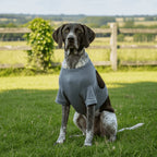 Breathable Dog Long-Sleeve Leg Recovery Sleeve (Anti-Lick, High Elasticity)