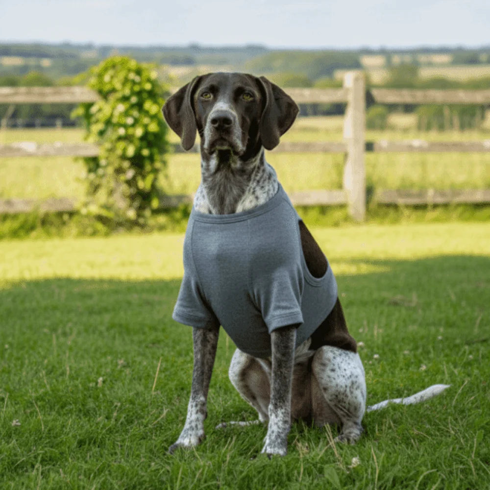 Breathable Dog Leg Sleeve Long Sleeve Professional Anti-lick Sleeve Polyester High Elasticity Dog Knee Pads Pet Protection