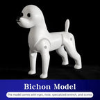 Bichon Grooming Practice Model with Simulation Wig