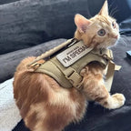 Breathable Tactical Cat & Dog Chest Harness — Adjustable Vest Leash for 3–20kg Pets