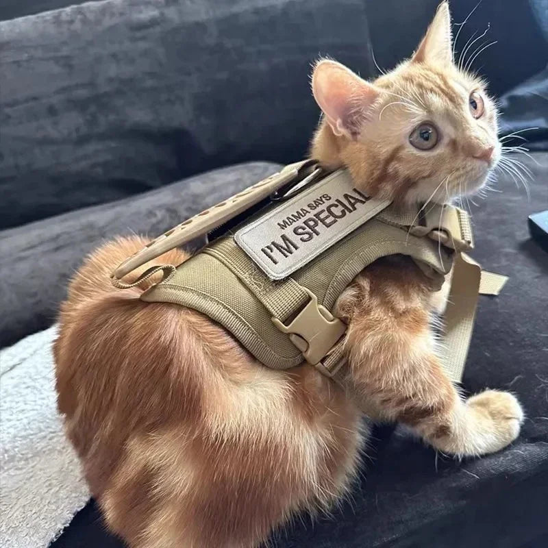 Breathable Tactical Cat & Dog Chest Harness — Adjustable Vest Leash for 3–20kg Pets