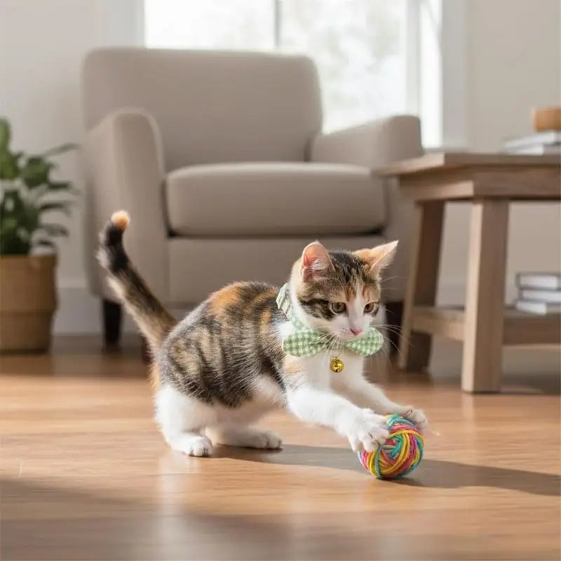 Heart Pet Collar with Flower Design for Cats — Comfortable Stylish Cat Collar