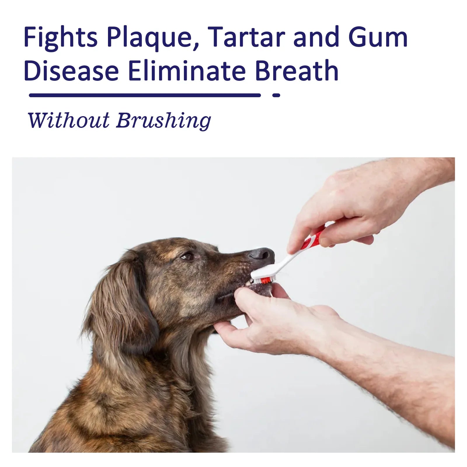 Pet Oral Cleaning Toothpaste Freshen Breath Reduce Yellowing Remove Tartar Cat Dog Gentle Teeth Brightening Toothpaste For Pets