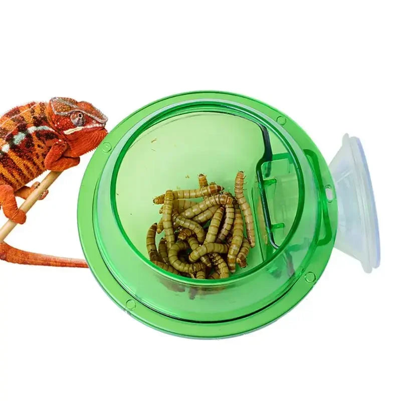Reptile Feeding Bowl Clear Anti-escape Pet Bowl Insect Worm Food Container Lizard Gecko Chameleon Reptile Small Pet Water Bowl