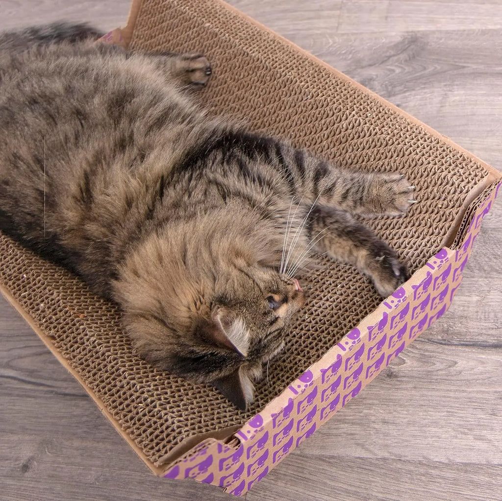 Catnip-Infused Corrugated Cat Scratcher Lounge Bed