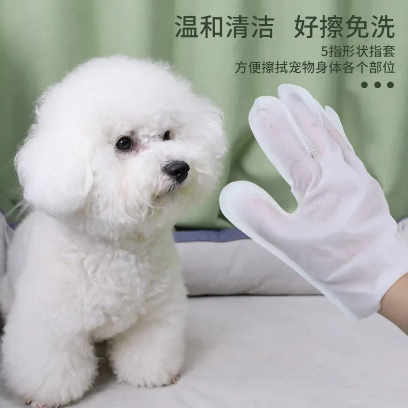 6PCS Pet Disposable Glove Towels Cat Dog Wash Free Glove No Rinse Washing Gloves Towels Deodorizing Dry Cleaning Wet Towels