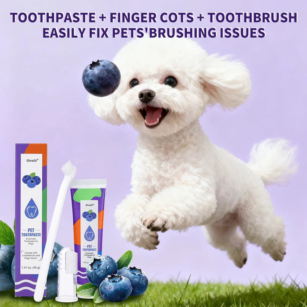 Pet Teeth Cleaning Kit Enzymatic Toothpaste for Cats Dogs with Toothbrush Finger Brush Reduce Plaque Tartar Blueberry Flavor