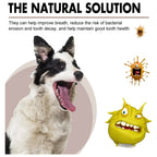 Pet Oral Cleansing Spray Effectively Remove Teeth Stain Tartar Eliminate Oral Odor Breath Freshening Dog Tooth Cleaner Deodorant