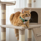 Adjustable Cat Collar with Quick-Release Safety Buckle — Cat Face Pendant & Bell Anti-Lost Necklace