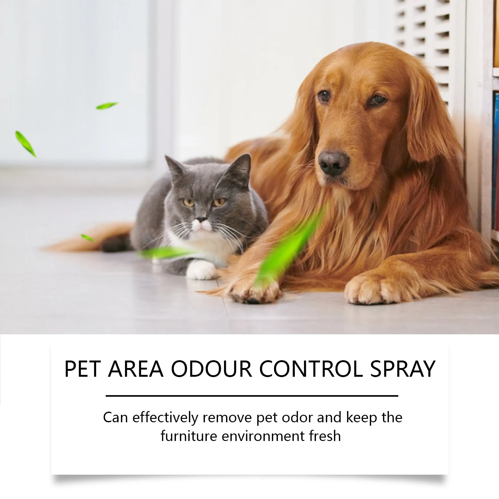 Yegbong Pet Deodorizing Spray for Dogs and Cats Eliminates Pet Odors, Long-lasting Fragrance, Keeps Indoor Air Fresh 100ML