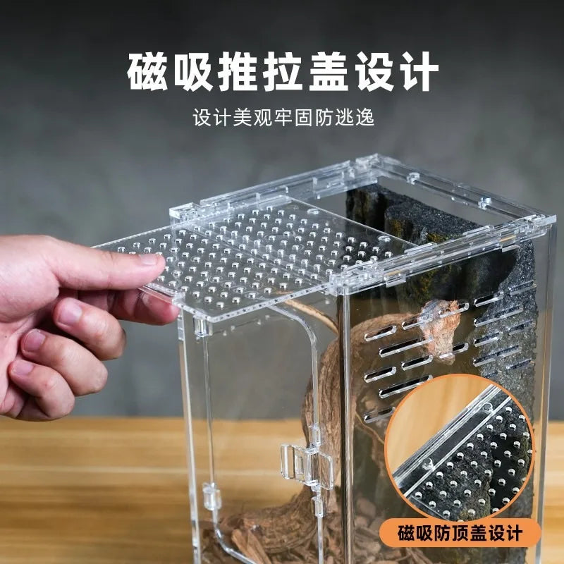 BG Grandfather Tree Frog Acrylic Glass Pet Snake Climbing Pet Terrarium Landscaping Gecko Front-Opening Climbing Tank