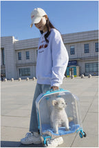 2026 High Quality Translucent Pet Carrier Portable Outdoor Cat Bag Large Capacity Aviation Travel Case