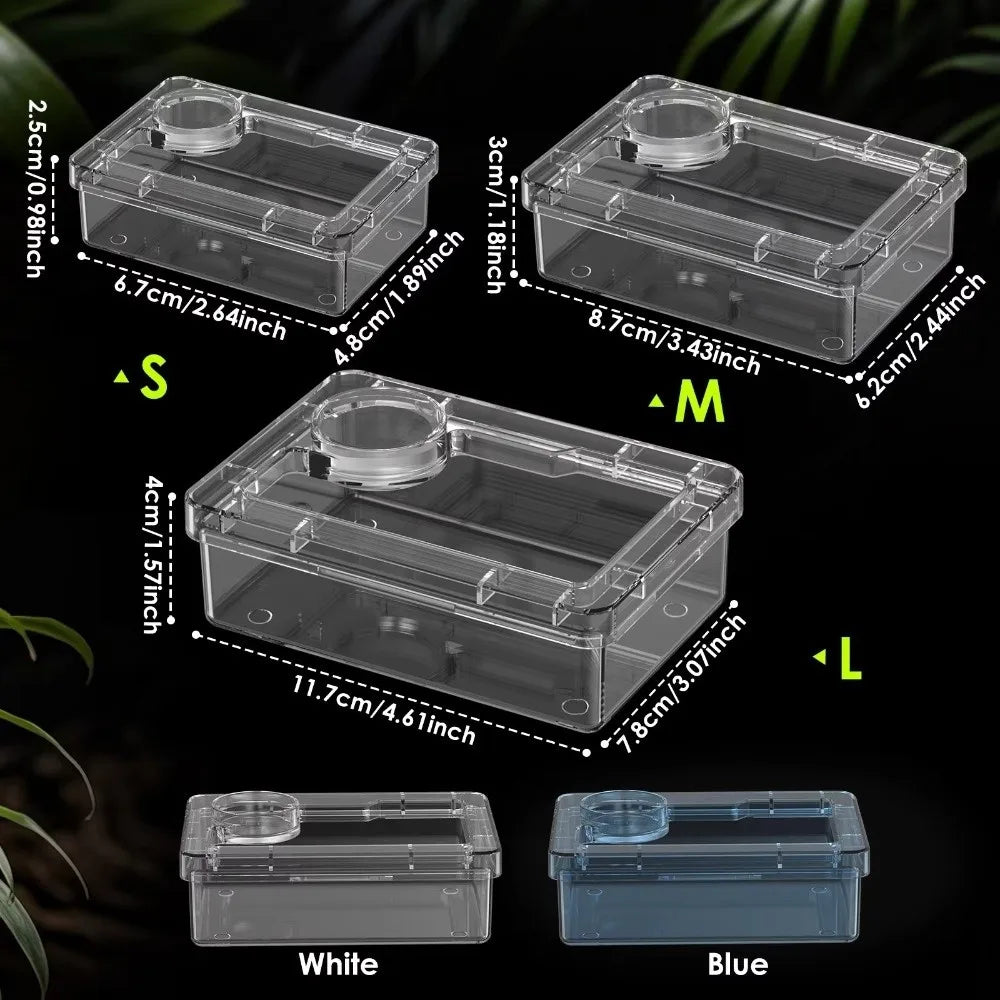 Reptile Lizards Geckos Feeding Bowls Anti Overturning Transparent Water Bowls Prevent Tenebrio Molitor and Blaptica Dubia