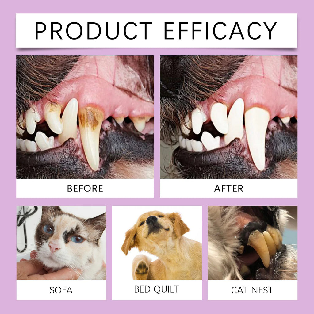 YEGBONG 100ml Pet Oral Care Spray Gentle Natural Formula Effective Tartar Stain Lasting Fresh Breath Safe for Daily Use Dogs Cat