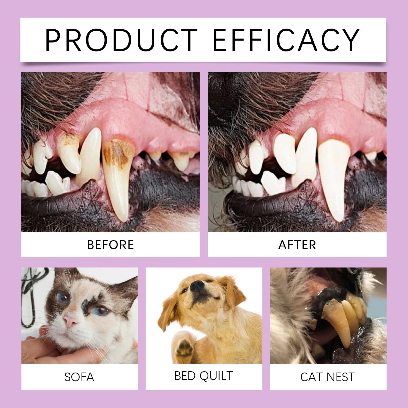 YEGBONG 100ml Pet Oral Care Spray Gentle Natural Formula Effective Tartar Stain Lasting Fresh Breath Safe for Daily Use Dogs Cat