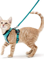 Anti-Escape Kitten Harness & Traction Belt — Lightweight Breathable Soft Vest for Walking Small Cats