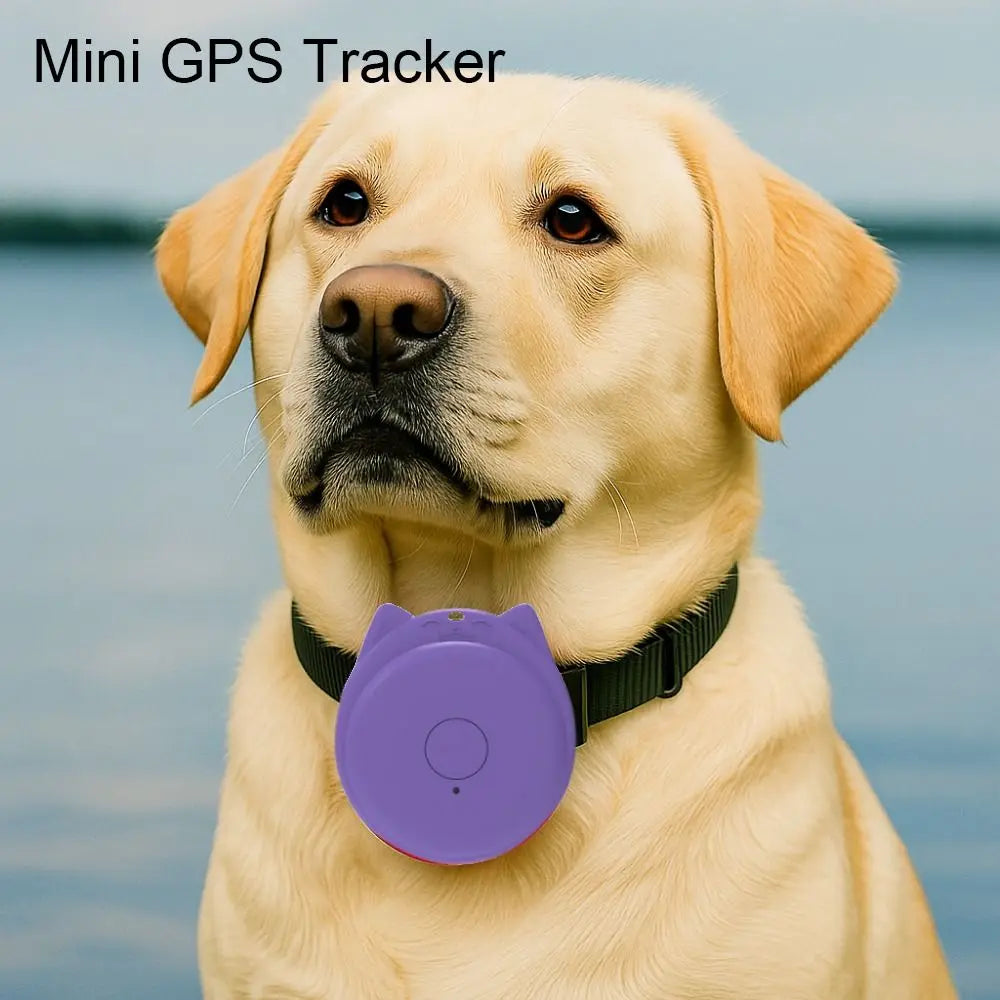 Mini Cartoon-Shape Bluetooth 5.2 GPS Anti-Loss Tracker for Pets, Kids & Elderly - Fun Wireless Smart Locator