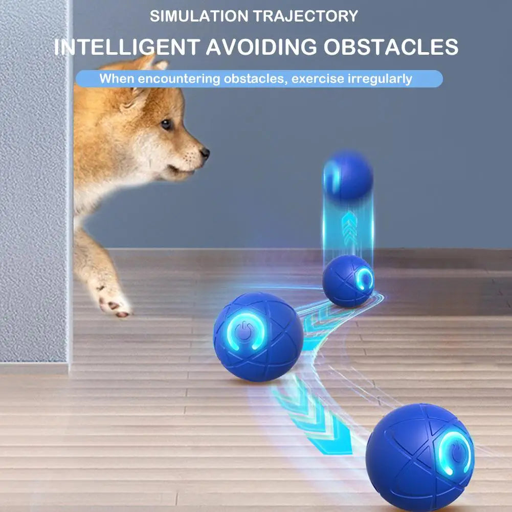 Smart USB Electric Bouncing Ball Pet Toy — Auto-Moving Interactive Toy for Cats & Dogs