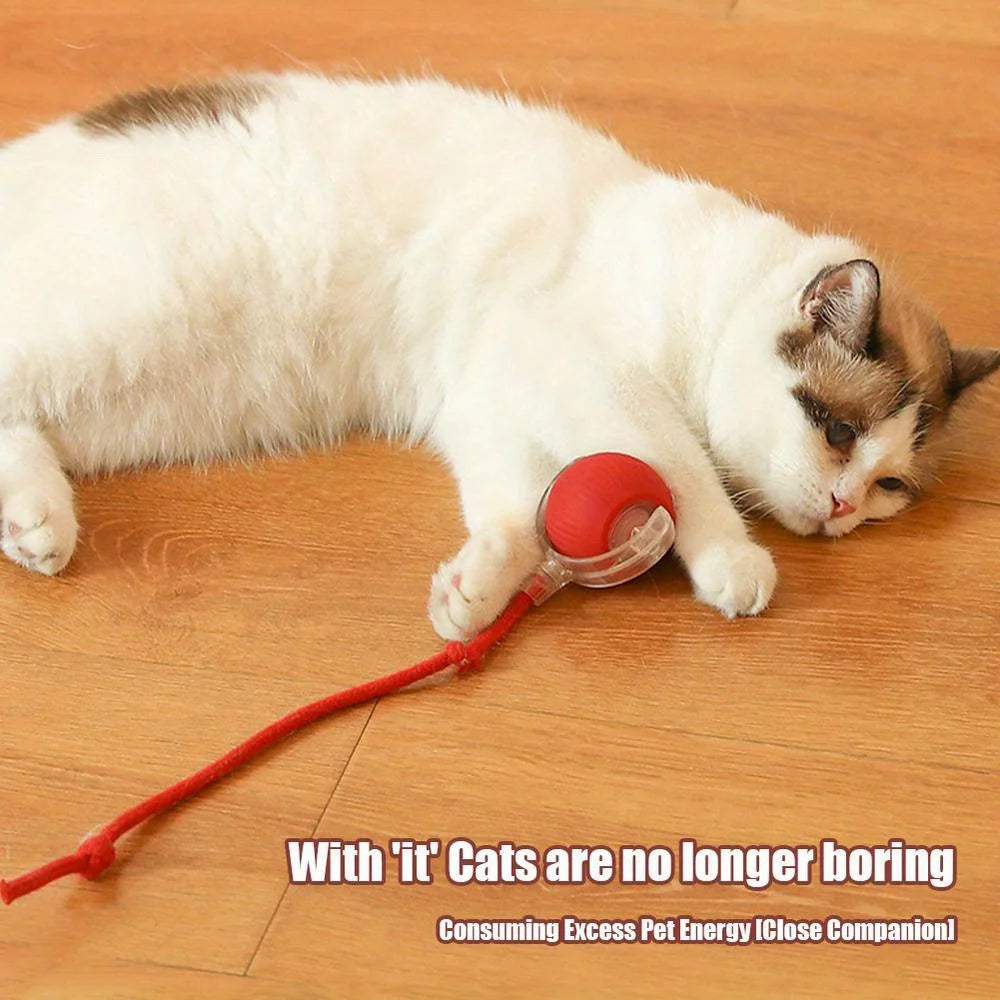 Smart Rolling Ball Toy with Faux Tail