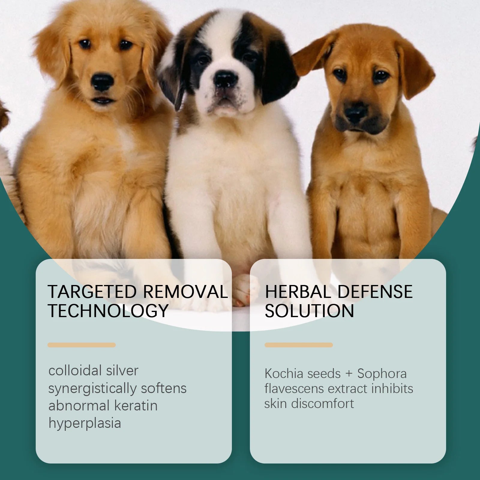 Cat Anti Flea Drops Flea Lice Remove Relieve Skin Itching External Insect Repellent Deworming Supplies Pet Tick Treatment Drops