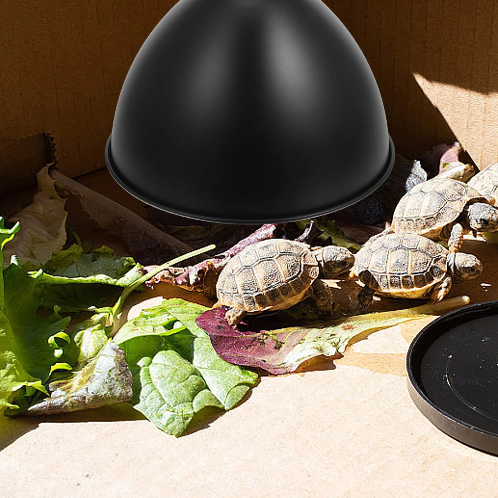 1pc Heating Lamp Lampshade Iron Reptile Heat Lamp Shade Reflector Dome For Lizard Snake Turtle Terrarium Lighting Accessory