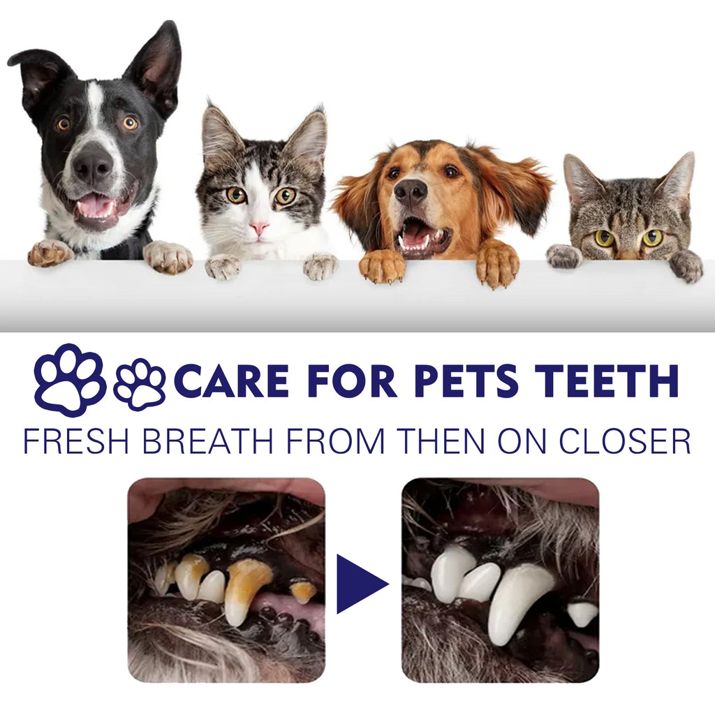 YEGBONG V34 Pet Toothpaste with Fresh Breath Formula Gentle Plaque Control Gum Care for Dogs and Cats Hypoallergenic Oral Care