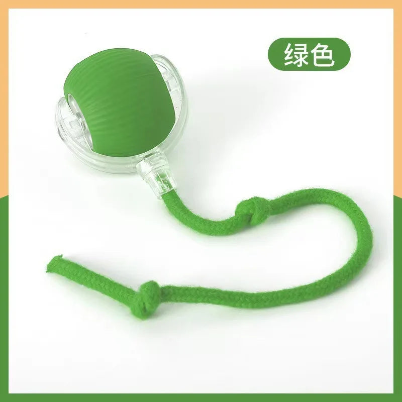 Electric Rolling Ball Cat & Dog Toy — USB Rechargeable Rat-Imitating Auto-Move Trainer