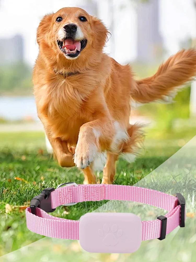 Long-Range GPS Tracker for Dogs & Cats with Adjustable Collar - Smart Remote Pet Locator