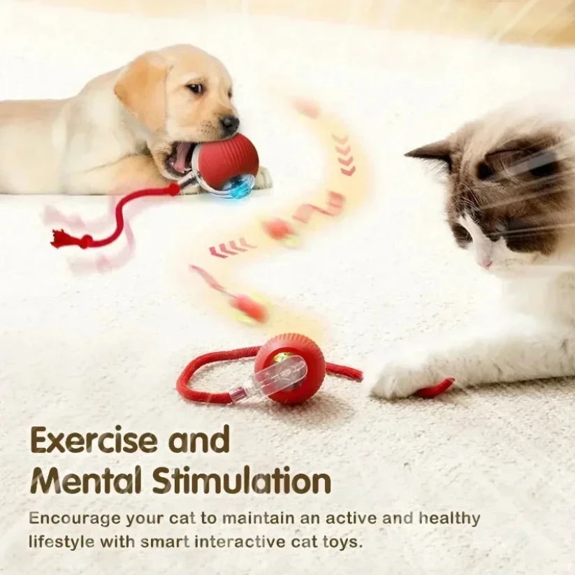 Automatic Rolling Ball Cat Toy with Tail