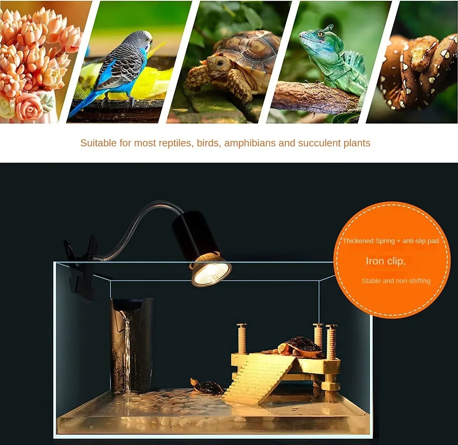 Reptile & Aquarium Heat Lamp (50W, Adjustable Gooseneck, Clip-On)